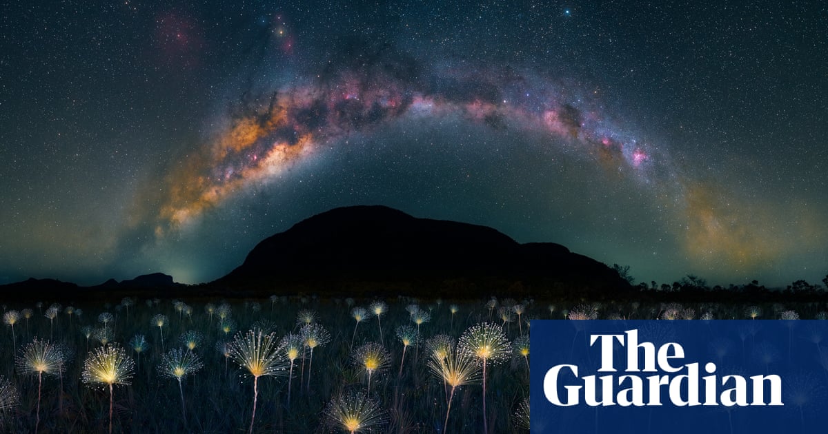 The Nature Photography Contest 2023 winners and finalists