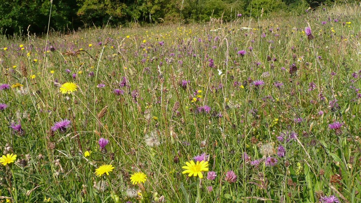 Gilles Bertrand’s Transition from Sports to Environmental Photography: ‘Sauve Terre’ Exhibition