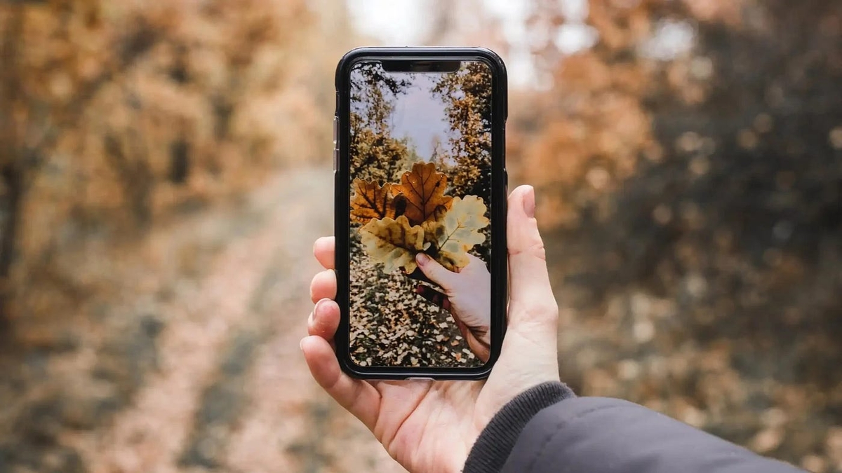 Mastering Smartphone Photography: Composition Techniques to Enhance Your Shots