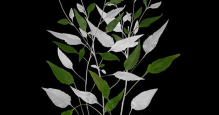 Tickets now available for an evening with botanical photographer Jimmy Fike Oct. 12