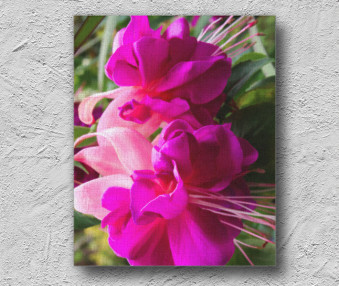 i2014-07-2006-13-16pm