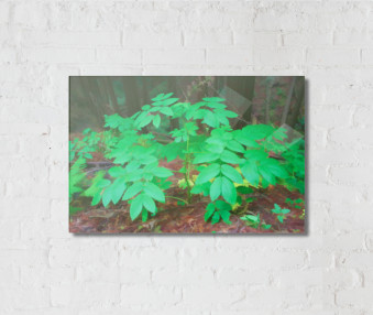 i2014-07-2006-24-37pm