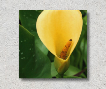 i2014-07-2007-06-14pm