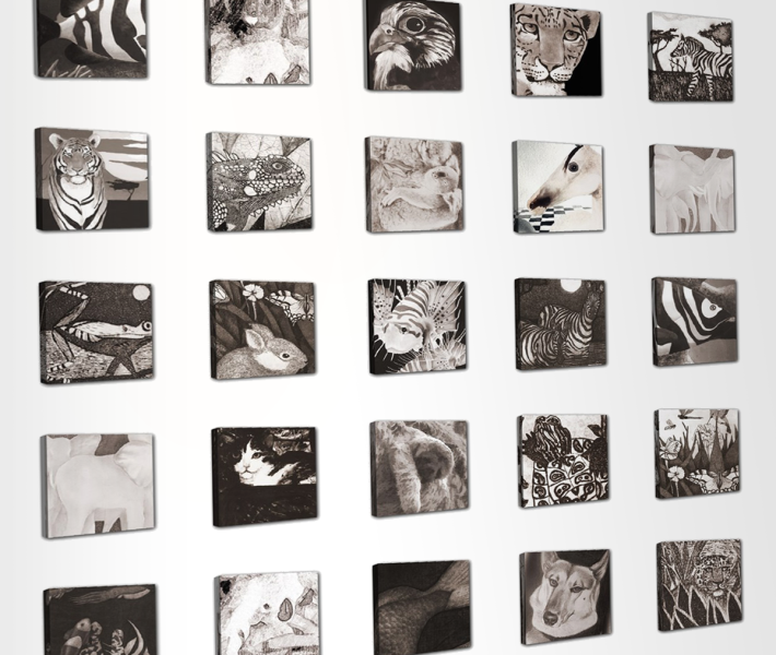 25_animals