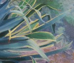 Oil_Closeups7