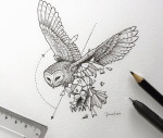 geometric-animal-drawings-wild-beasts-illustrations-kerby-rosanes-13__880