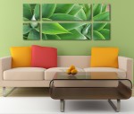 Agave Leaves Canvas Arrangement