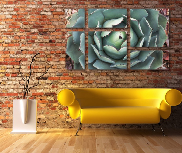 Agave Succulents Canvas Cluster