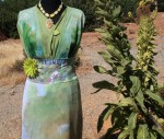 Big Sur Gardens 08