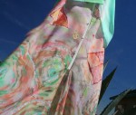 Big Sur Gardens 23