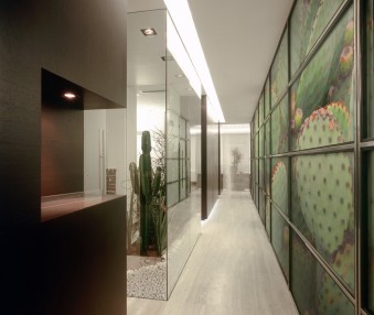 Cactus Art Wrap Office Wall