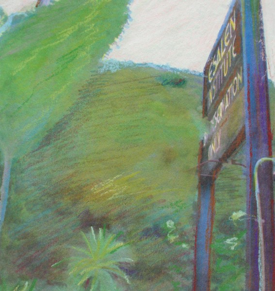 Mixed Media Nature Pastels 31