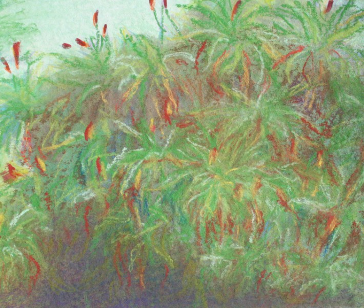 Mixed Media Nature Pastels 36
