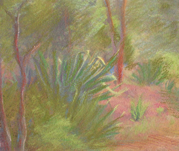 Mixed Media Nature Pastels 42