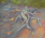 Mixed Media Nature Pastels 46