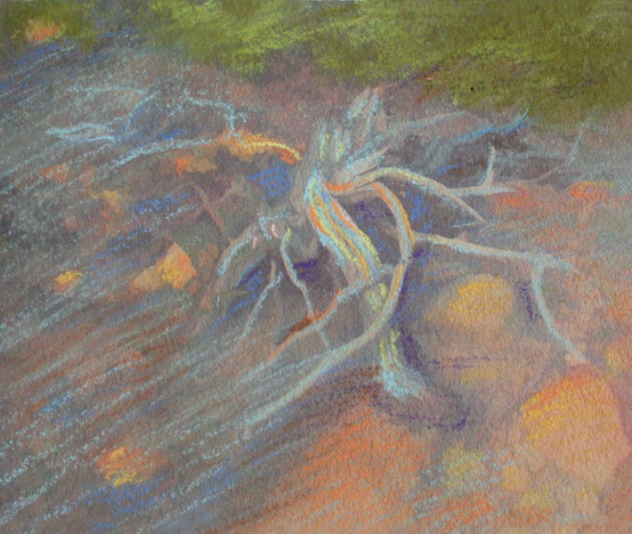 Mixed Media Nature Pastels 46