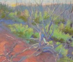 Mixed Media Nature Pastels 47