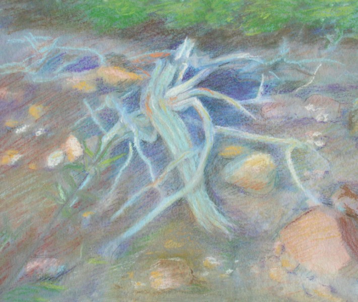 Mixed Media Watercolor Pastels 25