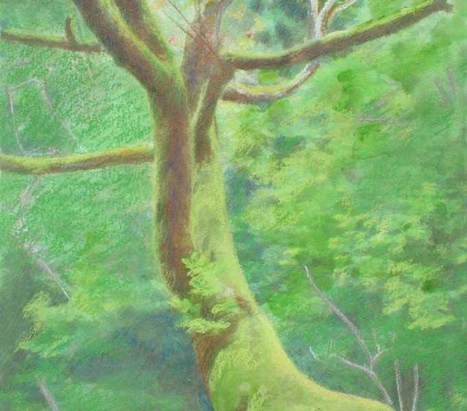 Mixed Media Watercolor Pastels 28