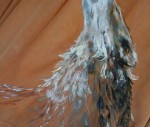 Native Spirit 003