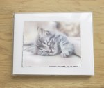 Painted Pet Portraits 01