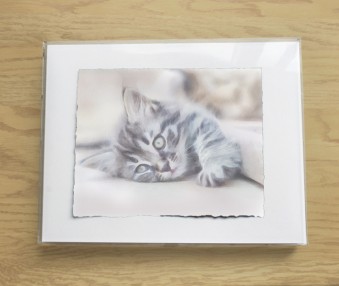 Painted Pet Portraits 01