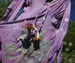 Violet Flame 09