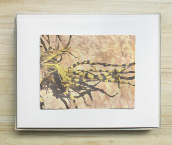 i2019-03-0805-17-09am