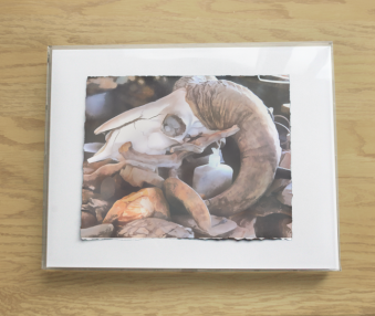 i2020-02-1911-53-38pm